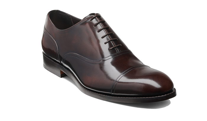 barker Bates - Dark Brown Hi Shine