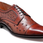 Bach - Brown Calf / Ostrich