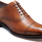 Holland Park - Walnut Calf