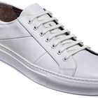 Archie - White Softy