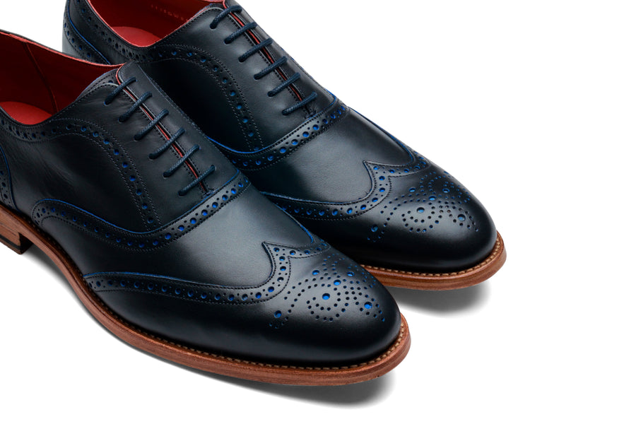 Brando 2 - Navy Calf Blue Punch