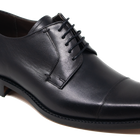 Powell - Black Panda Calf